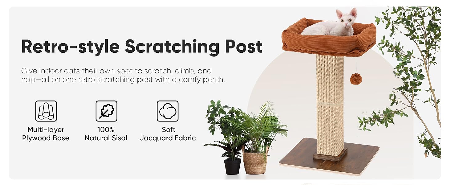 cat scratcher