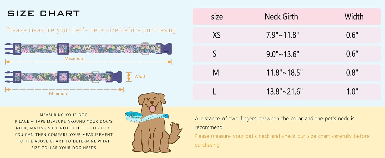 purple dog collar for girl dogs collr female dog collar girly dog collar cute dog collar