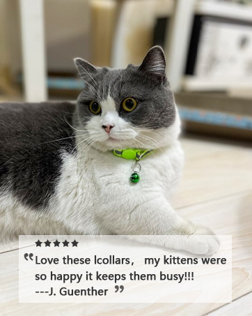 cat collar