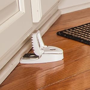 Effective Mouse Trap