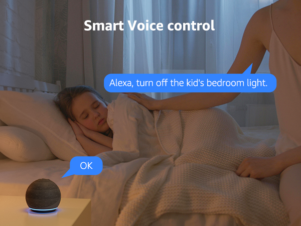 voice control google Alexa