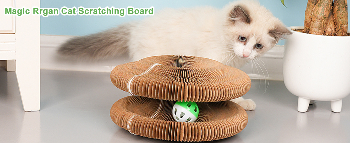 cats toys