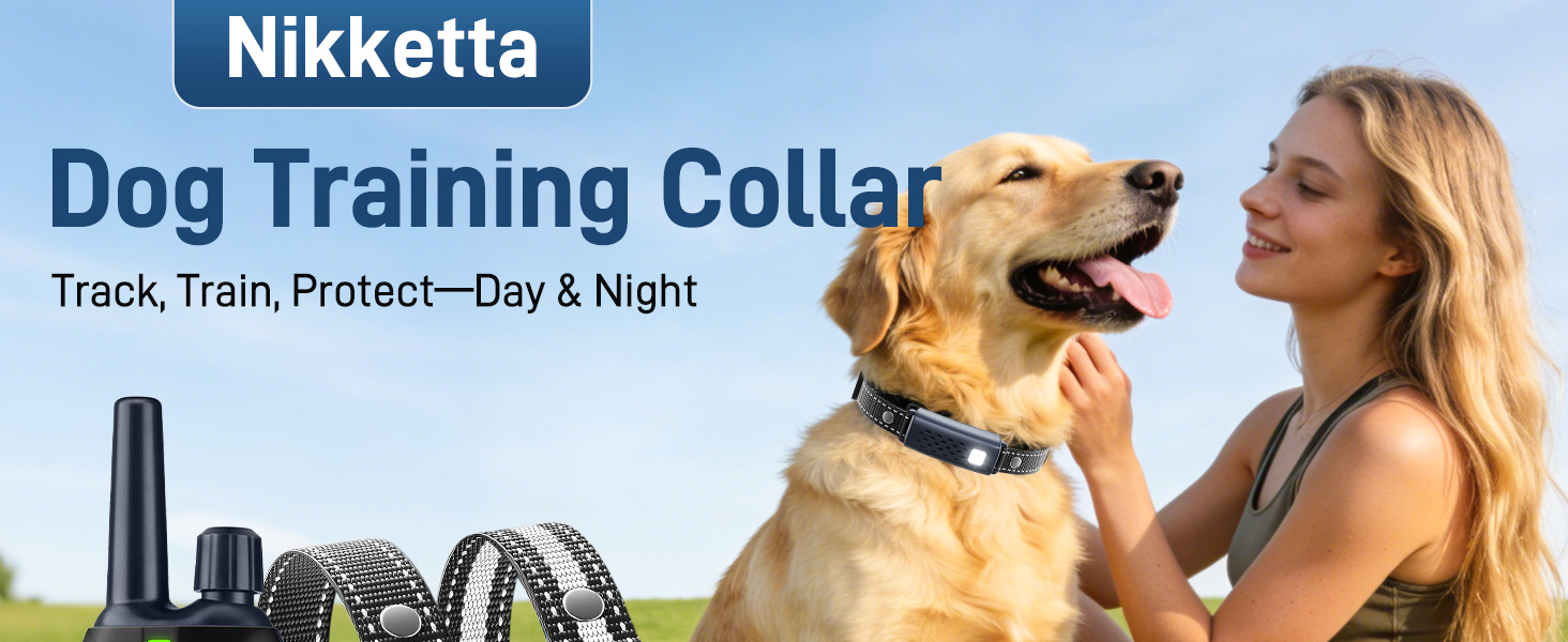 dog training collar for 2 dogs