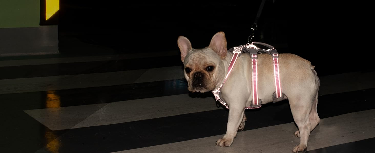 no slip dog harness escape proof