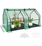 U'Artlines Portable Mini Greenhouse Small Green House with Waterproof Pad and Plant Label 47x24x2...