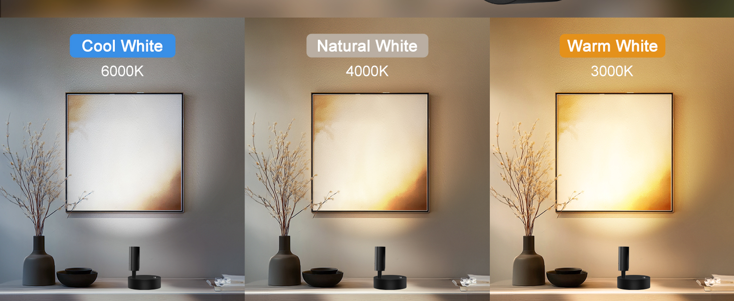 Spotlight indoor with adjustable brigheness and color temperature, and timer function