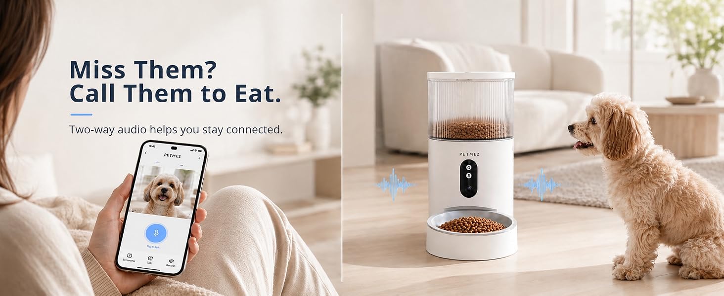 automatic cat feeder with camera