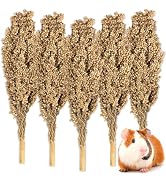 Sukh Natural Hamster Sprays - 5pcs Natural Sun-Dried Red Sorghum Grain,Flower & Herb Grain Stalks...