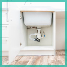 cabinets sinks drain pipes trails bugs ants roaches spiders