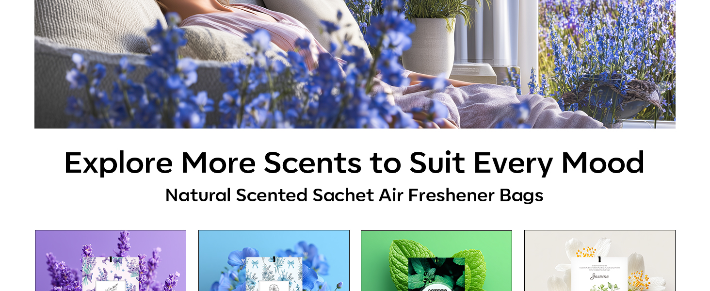 Air Freshener