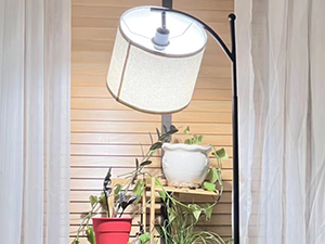 lamp