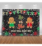 Mocsicka Winter Gender Reveal Backdrop Christmas Gingerbread Cookie Snowflake He or She What's Ba...