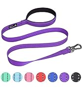 EXCELLENT ELITE SPANKER Strong Durable Nylon Dog Training Leash Traction Rope 4 Feet Long 1" Wide...