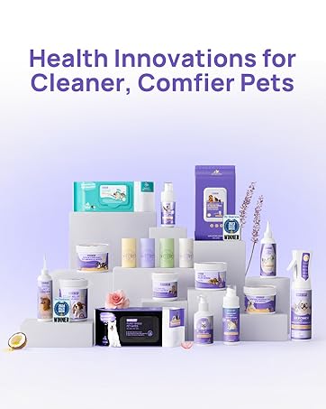 eye infection treatment for dogs