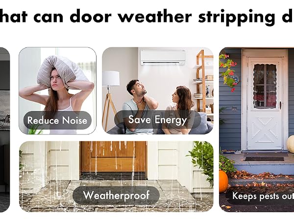 Weather Stripping Door