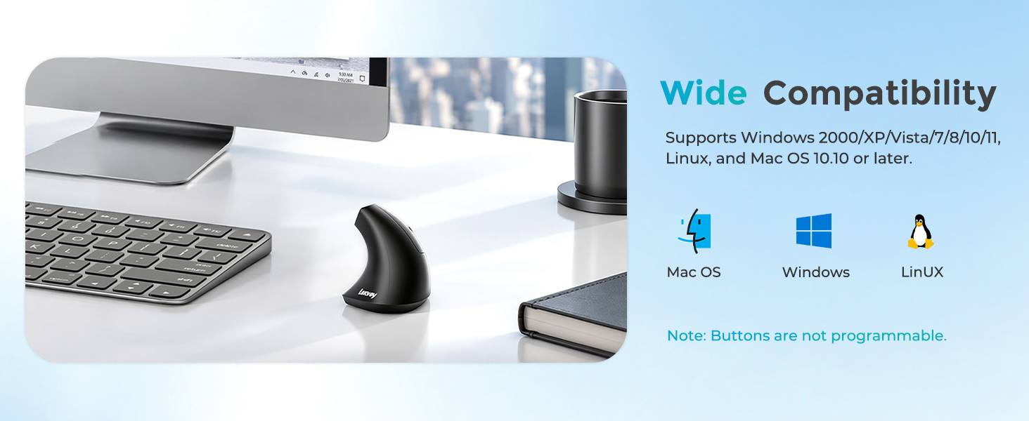 vertical mice