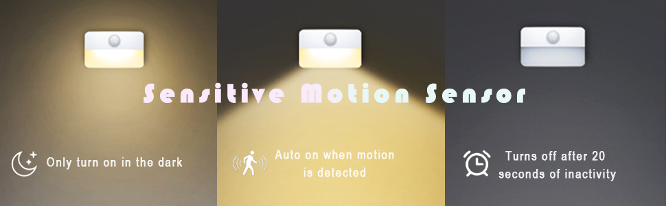 motion sensor light