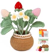 kgxulr Crochet Kit for Beginners, Strawberry Crochet Kit Beginner Crochet Starter Kit for Complet...
