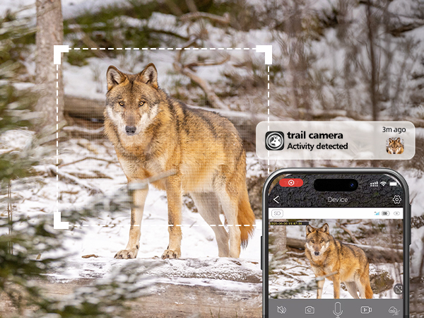 solar trail cameras with night vision motion activated waterproof,trail cameras