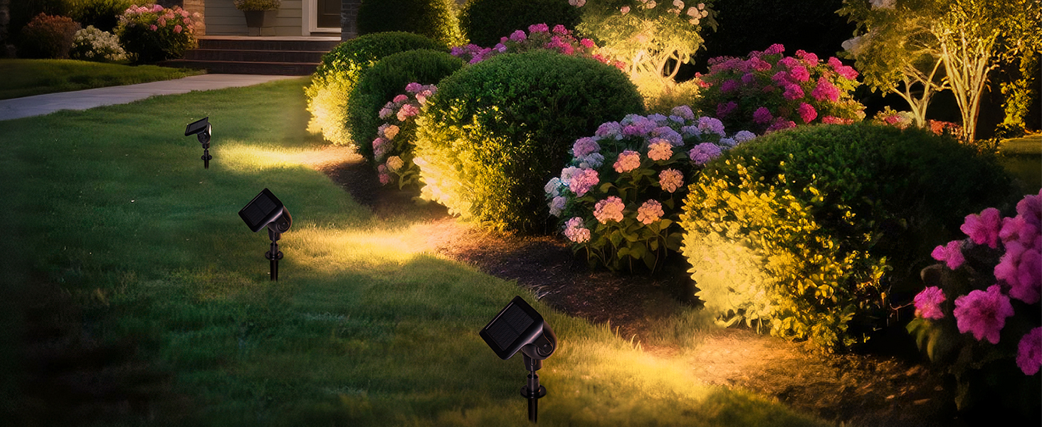Solar Garden Lights