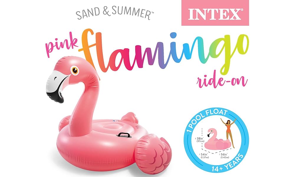 flamingo