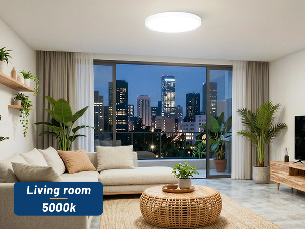 5000k Living room