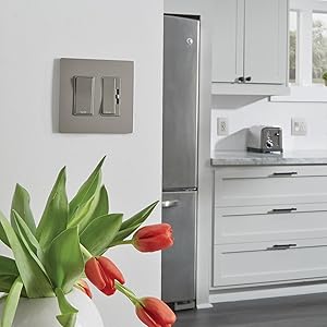 radiant switch nickel metallic