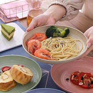 Dinner Dishes Lightweight Plates