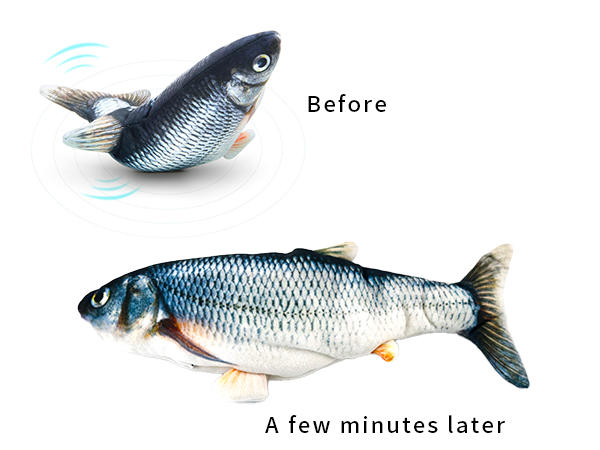 fish toy