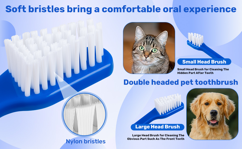 dog toothbrush