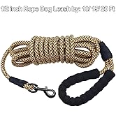 long dog leash brown