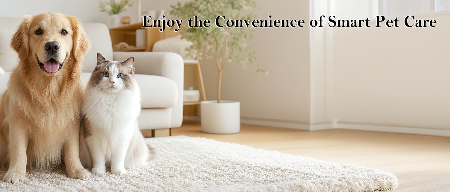 cat feeder