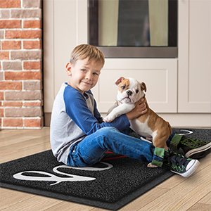 pet mat
