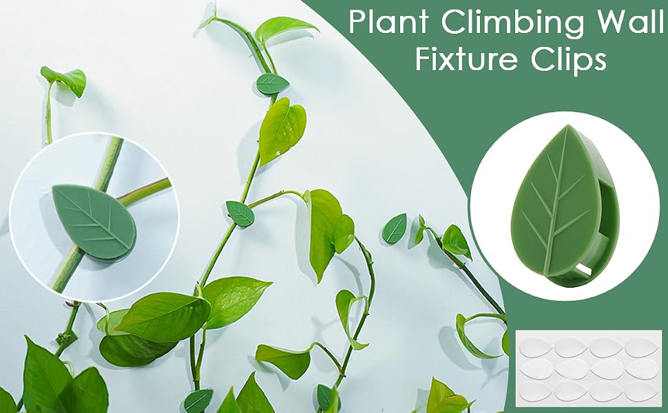 plant wall clips