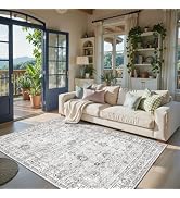 Babovid Grey Living Room Rugs, Area Rugs 5x8 Rug for Bedroom Ultra-Thin Soft, Non-Slip Washable R...