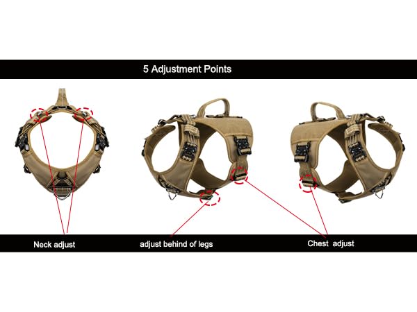 dog harness adjustment