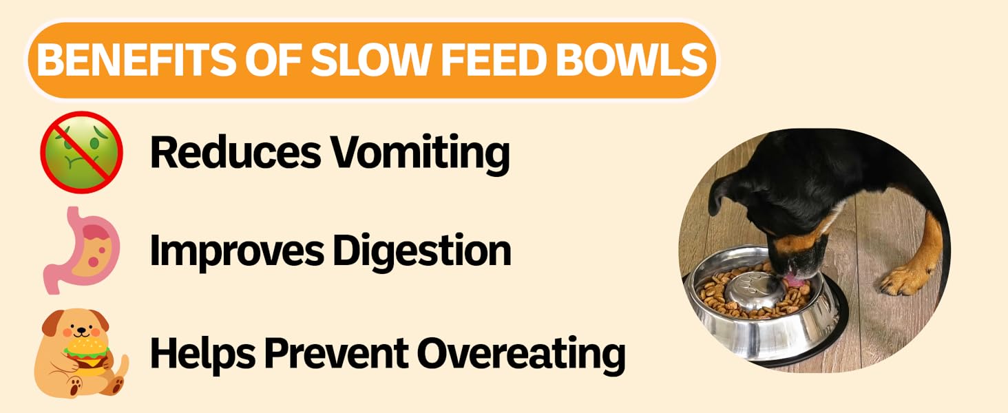 Benefits of using a slow feed bowl