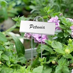 plant labels