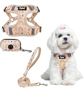 PUPTECK No Pull Dog Harness and Leash Set Reflective No Choke Step in Puppy Halter for XS Small a...