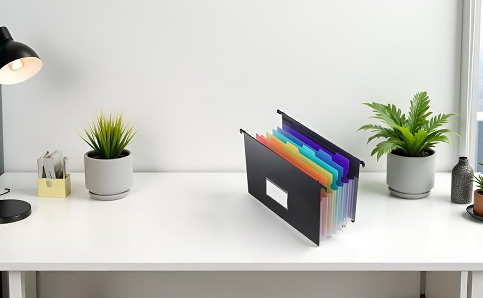 Filing Cabinet Organizer
