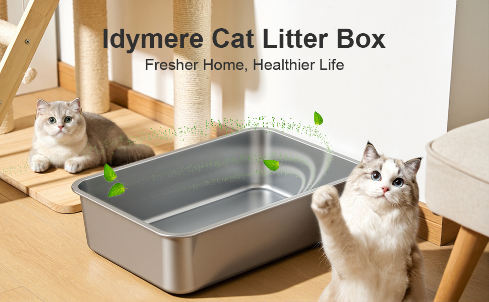 litter box