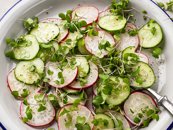 vegetable shredder