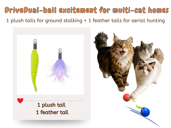 cat toy