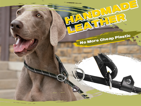Slip Lead Dog Leash