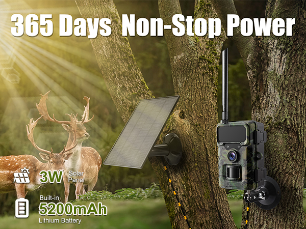 solar trail camera