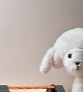 100w portable power station