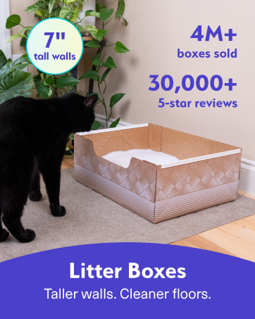 cat litter disposable box leak-proof silica crystal clumping odor control low dust natural plant