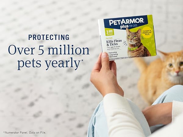 protect your pet