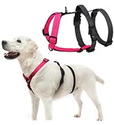 PUPTECK Escape Proof Dog Harness - No Pull Soft Padded Full Body Pet Halter Harness with Lift Han...