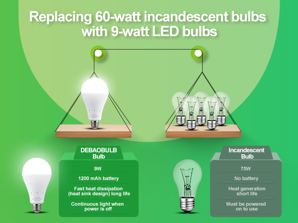 Rechargeable Light Bulbs